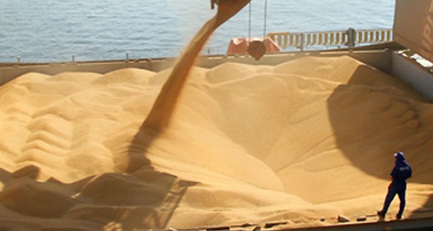 El sector agroindustrial export&oacute; por US$ 9.637 millones en 2024, un 26% m&aacute;s que en 2023