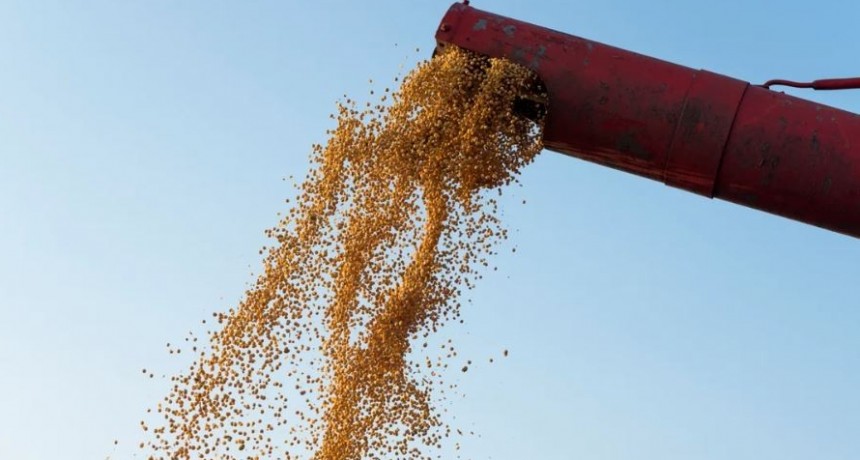 El sector agropecuario export&oacute; por m&aacute;s de US$ 46.000 millones en el 2024