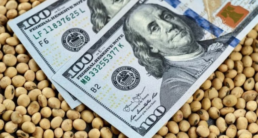 Tras la baja de retenciones, cayeron los d&oacute;lares financieros
