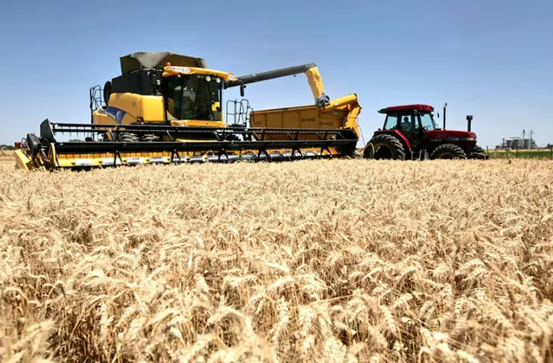 Finalizó una cosecha récord de trigo: 27,8 mill/tn