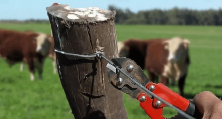 CRA lanzó un canal de denuncias para reunir datos y fortalecer reclamos