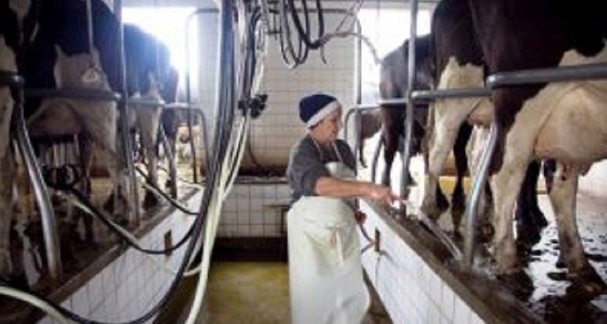 El Programa Impulso Tambero lleva inscriptos a 3650 productores