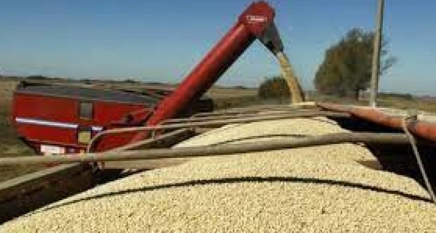 Sin el d&oacute;lar soja, los agroexportadores liquidaron en enero un 75% menos que en diciembre