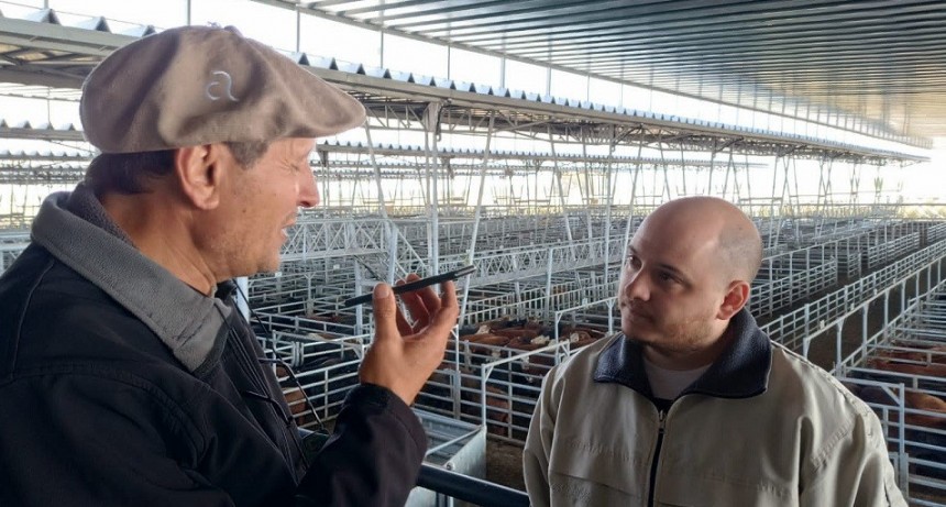 Carne: sigue el reacomodamiento de precios en el MAC