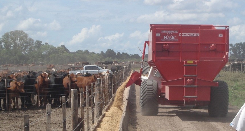 La suba en la hacienda empez&oacute; a acomodar las fichas en los feedlots