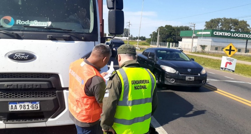 Casos positivos de influenza aviar en aves de traspatio y silvestres en Buenos Aires y C&oacute;rdoba