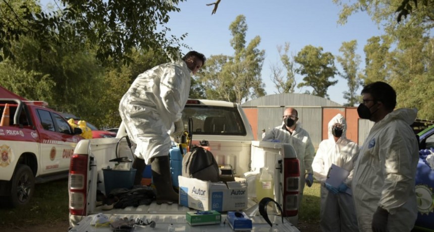 Nuevos casos positivos de influenza aviar en aves de traspatio en C&oacute;rdoba