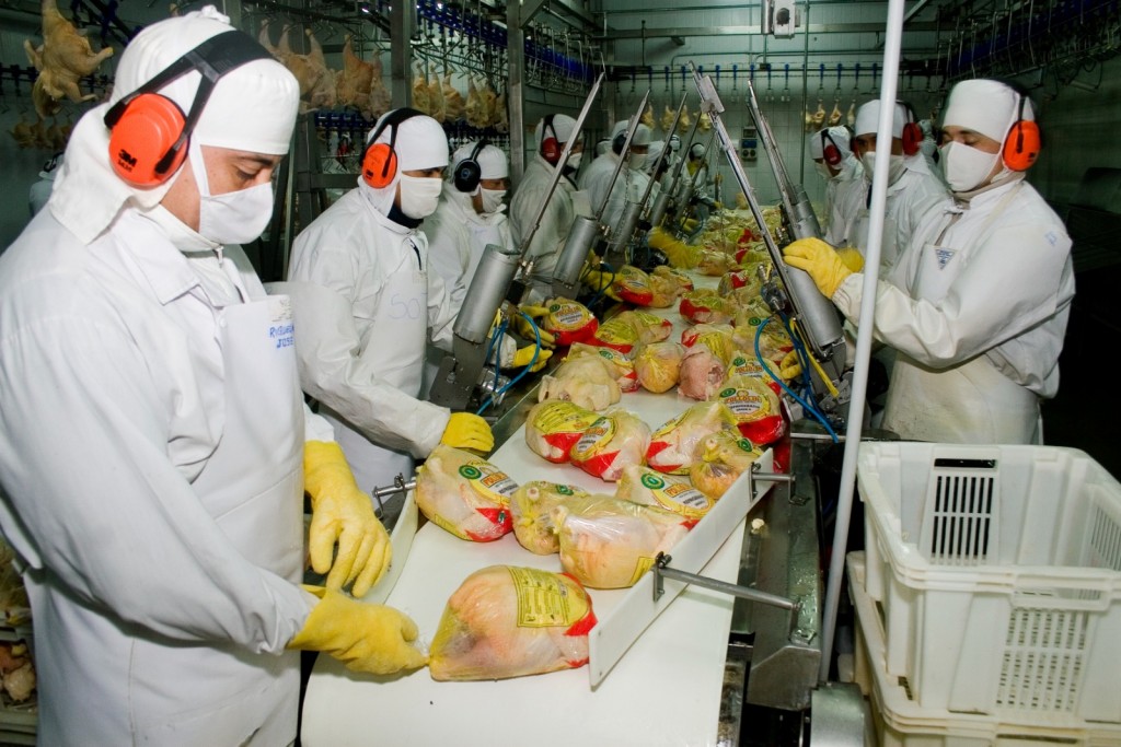 Argentina vuelve a exportar productos avícolas al Reino Unido