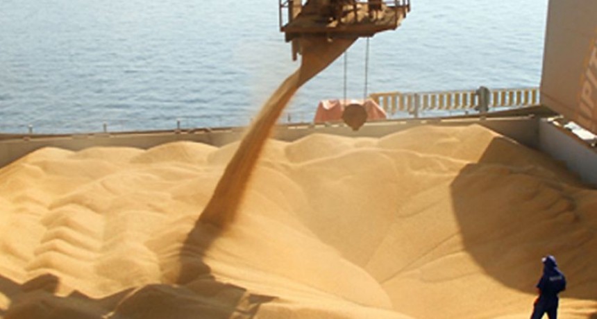 La liquidaci&oacute;n de divisas de los agroexportadores creci&oacute; 64% en enero