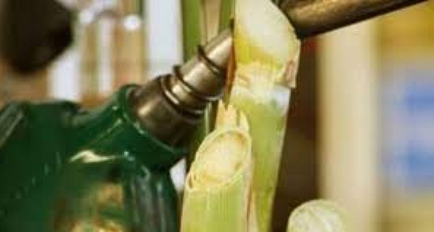Biocombustibles: el Gobierno fij&oacute; un aumento de hasta 25,9%
