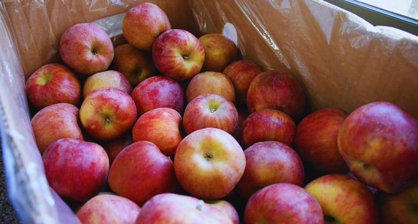 Una herramienta precisa para garantizar fruta de calidad