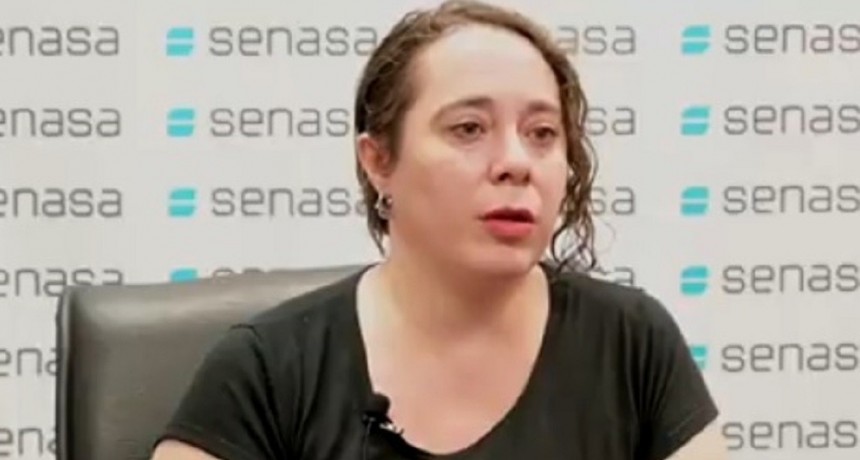 Influenza aviar: desde Senasa se refieren a medidas de prevenci&oacute;n