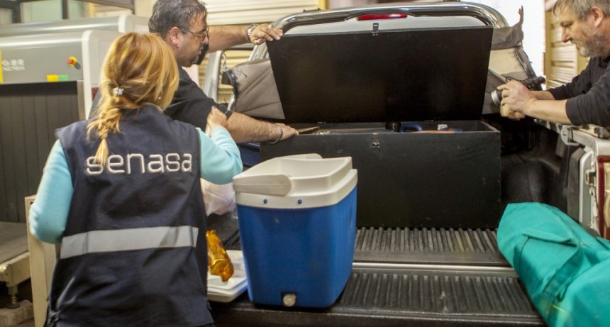 Mosca de los frutos: C&oacute;mo contribuir a cuidar las econom&iacute;as regionales al viajar por nuestro pa&iacute;s