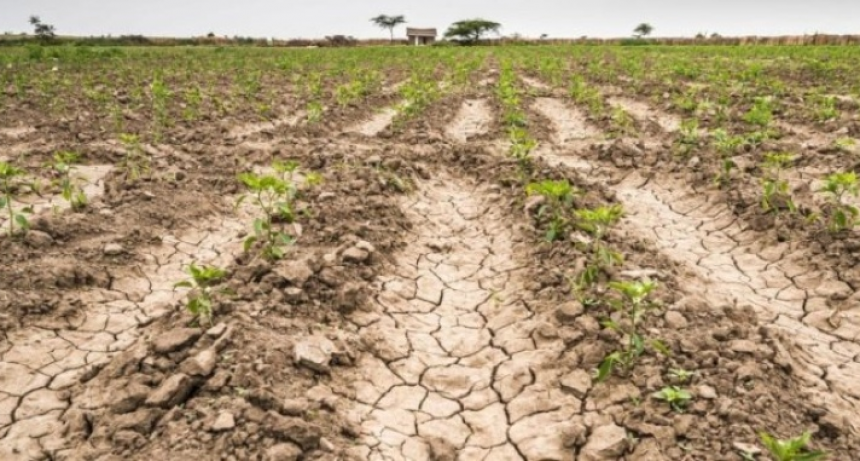 Advierten el regreso de "la ni&ntilde;a" y una eventual sequ&iacute;a