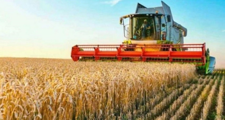 La comercializaci&oacute;n de trigo contin&uacute;a lenta