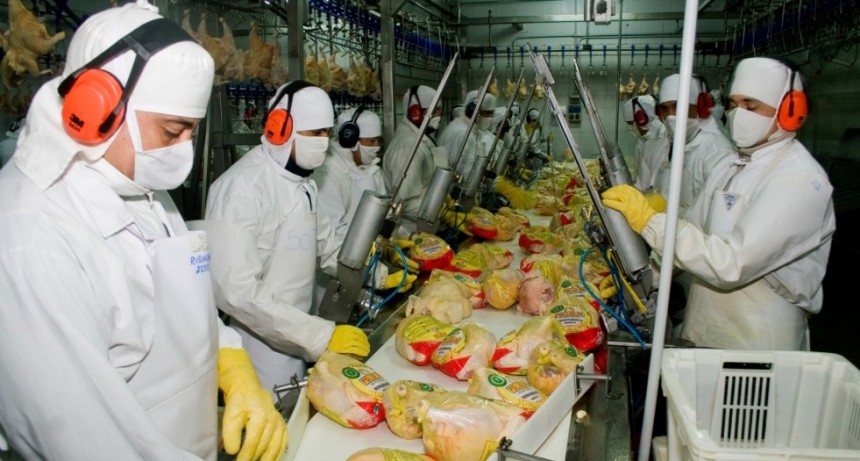 Argentina vuelve a exportar productos av&iacute;colas al Reino Unido