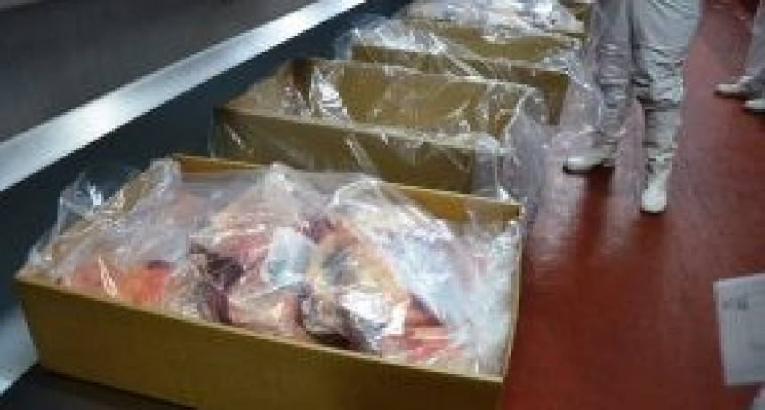 Carnes: Con las exportaciones liberadas crecieron m&aacute;s 19% en enero