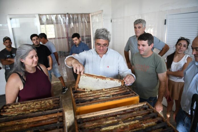 Javier Rodríguez recorrió establecimientos y dialogó con productores en Tapalqué