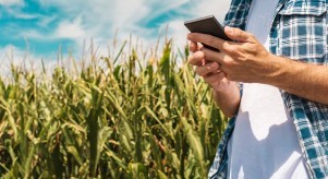 El celular como herramienta para simplificar el control de la campaña agrícola