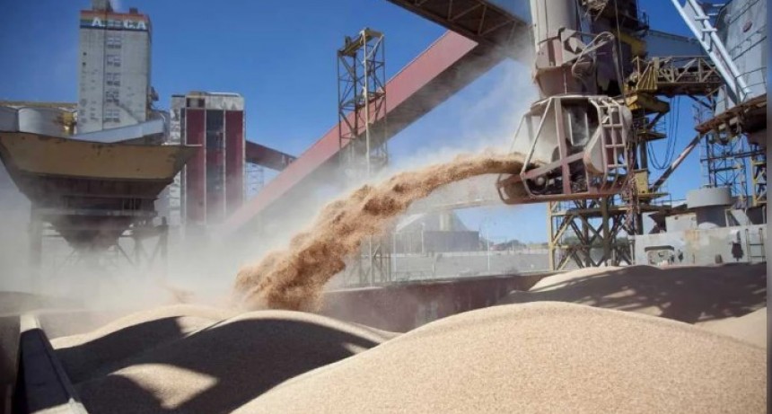 El ingreso de divisas de la agroindustria subi&oacute; 36% en enero y ayud&oacute; a acumular reservas