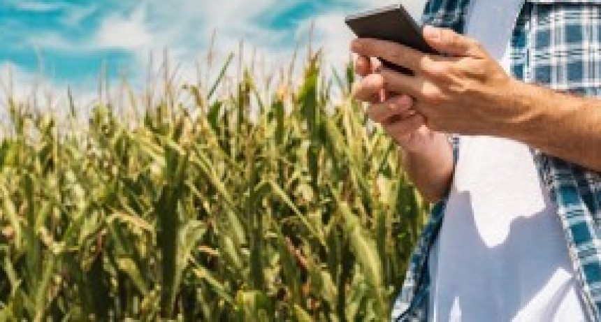 El celular como herramienta para simplificar el control de la campa&ntilde;a agr&iacute;cola