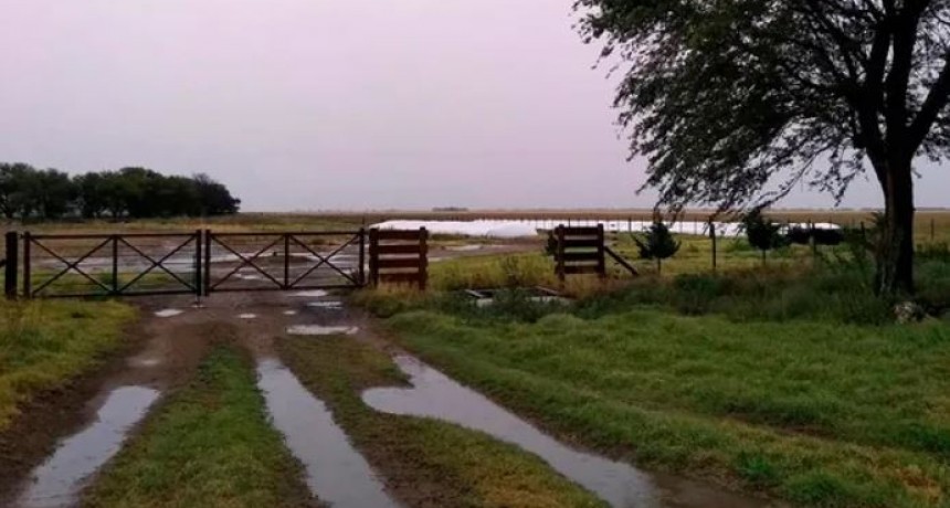 Las lluvias tienen fecha de regreso en la regi&oacute;n centro: qu&eacute; dice el pron&oacute;stico del tiempo