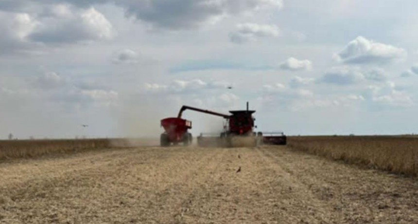 La campa&ntilde;a 2024 tuvo un mayor uso de fertilizantes revirtiendo la tendencia
