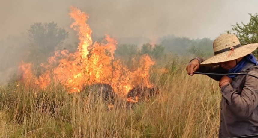 Cat&aacute;strofe en Corrientes: la muerte de una maestra y miles de hect&aacute;reas ardiendo 