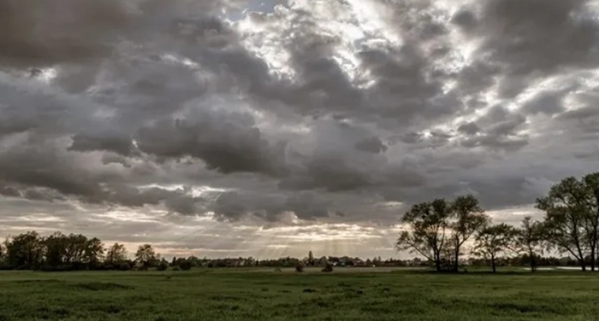 Los ruegos del campo, en parte, se hicieron o&iacute;r y llovi&oacute; justo a tiempo