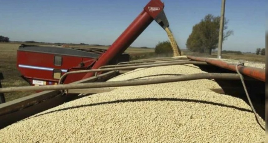 Ventas de soja: es bajo el ritmo pese a precios y baja de retenciones