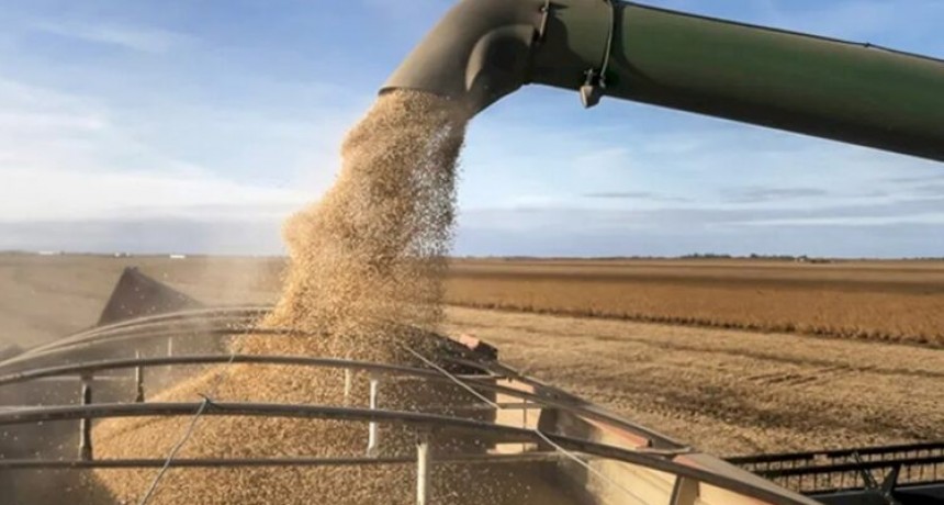 Las exportaciones del agro crecieron 25% en 2024 y alcanzaron un super&aacute;vit de US$ 39.000 millones