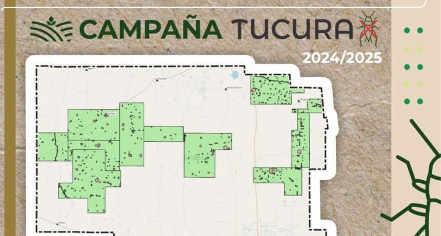 Con resultado efectivo concluy&oacute; una nueva campa&ntilde;a de lucha contra la Tucura
