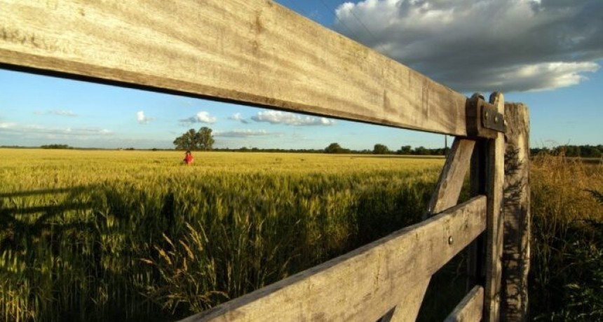 Eximen del Inmobiliario Rural a productores de seis municipios