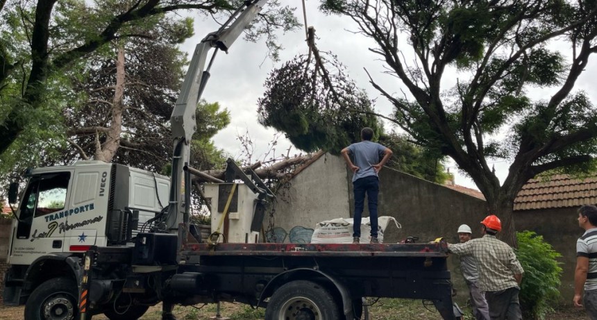 Fuerte temporal de lluvia y viento en la madrugada de este domingo en Olavarr&iacute;a