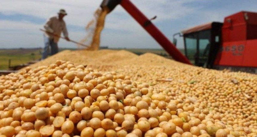 El productor retiene la soja a pesar de la baja de retenciones: &iquest;cu&aacute;les son las razones?