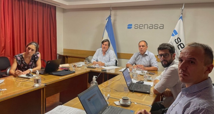 Exportaciones aviares: Argentina reanuda sus env&iacute;os de ovoproductos hacia Jap&oacute;n