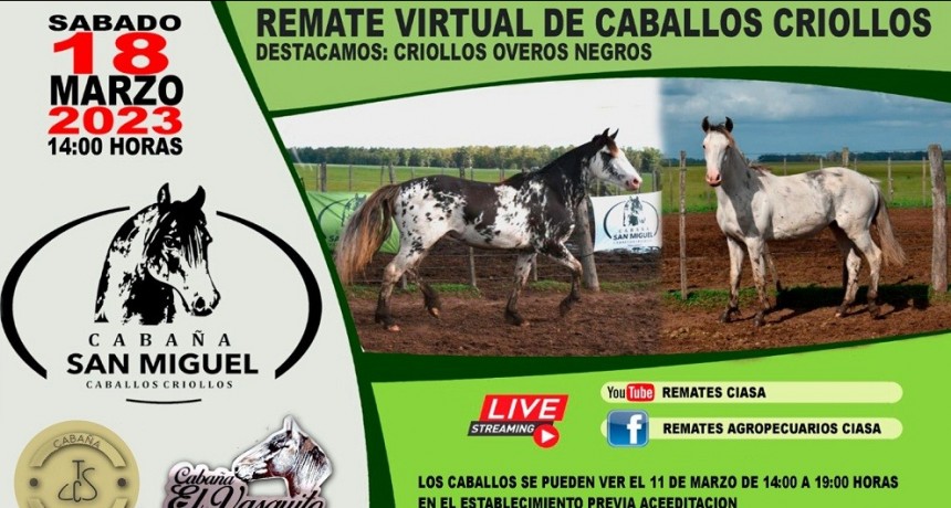 Ciasa S.A. anuncia remate de caballos criollos