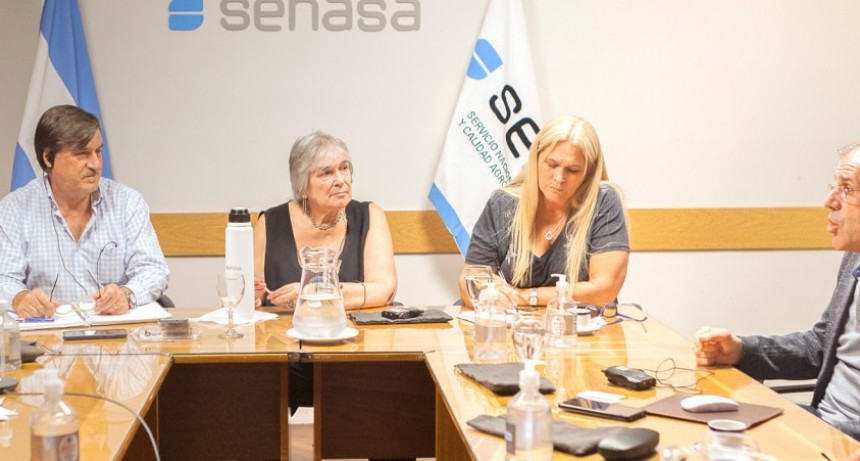 Influenza aviar: Trabajo t&eacute;cnico-cient&iacute;fico define las mejores estrategias de prevenci&oacute;n