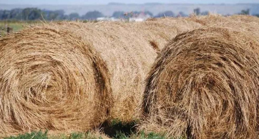 La Rural destaca trabajo coordinado y esclarecimiento de un delito