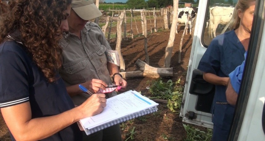 La radio, un actor clave para la comunicaci&oacute;n con productores y productoras familiares