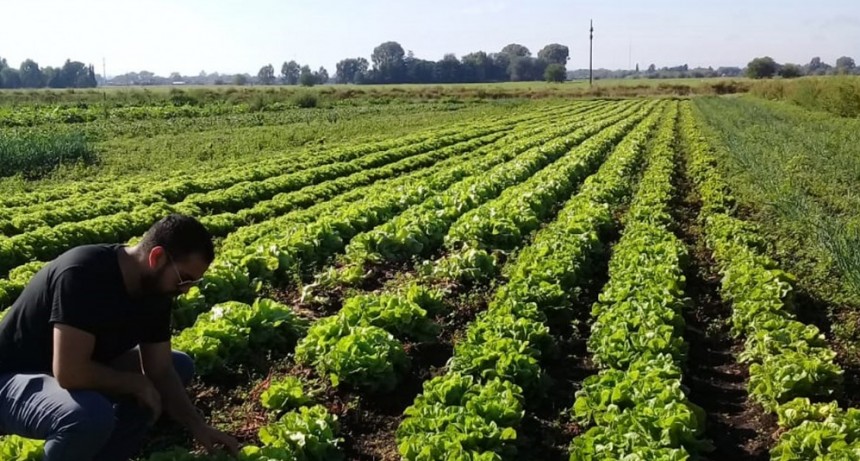 Desarrollo Agropecuario: recorrida por quintas hort&iacute;colas