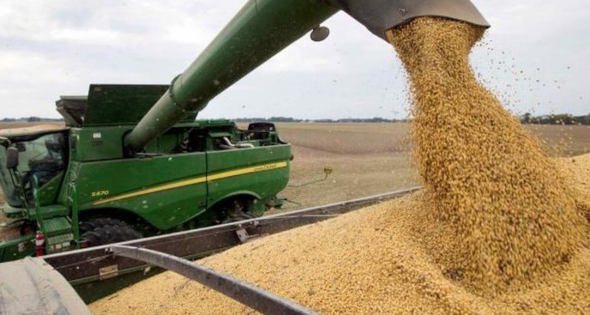 Eliminar retenciones: el consejo del campo al pr&oacute;ximo Gobierno y la f&oacute;rmula para justificarlo