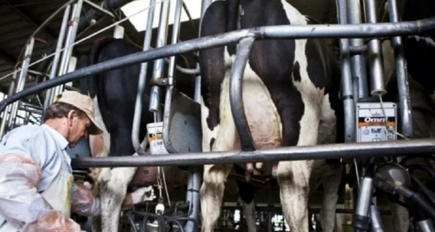 Programa Impulso Tambero: cerca de 4.500 productores comenzaron a cobrar