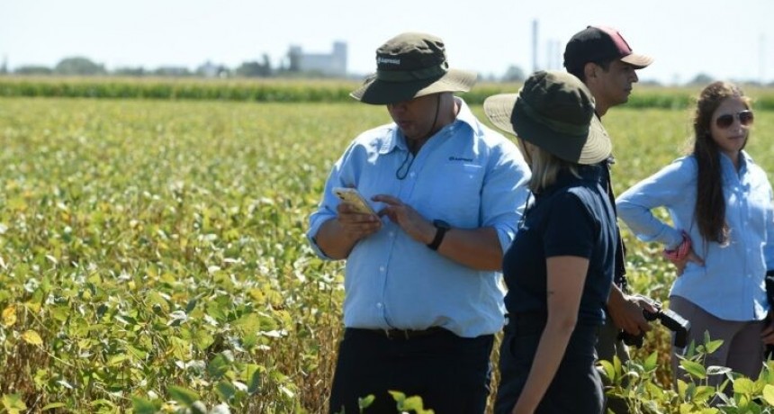 El fen&oacute;meno clim&aacute;tico "La Ni&ntilde;a" volver&iacute;a en primavera y hay preocupaci&oacute;n entre los productores