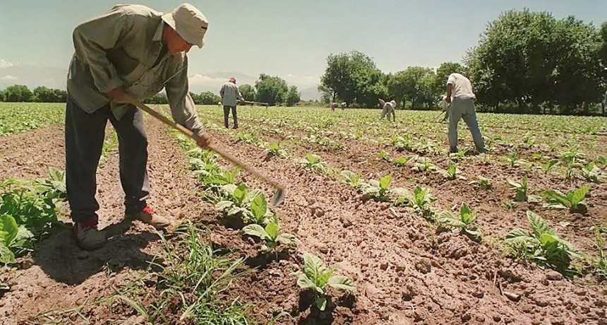 Aumenta la prestaci&oacute;n por desempleo para trabajadores rurales