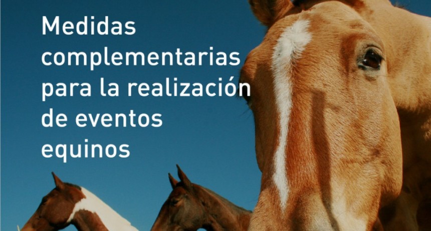 Encefalomielitis equinas: Se confirm&oacute; el primer brote en la provincia de Chubut