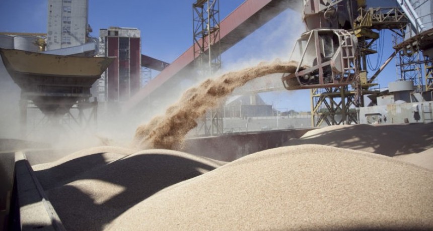 La actividad agroindustrial cay&oacute; en febrero, pero estiman que se recuperar&aacute; en los pr&oacute;ximos meses