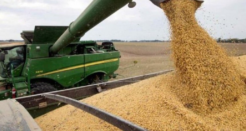 Mejoran las proyecciones sobre la soja: la producci&oacute;n alcanzar&aacute; las  50 millones de toneladas