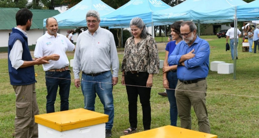 El ministro Javier Rodr&iacute;guez relanz&oacute; una l&iacute;nea de financiamiento para apoyar al sector ap&iacute;cola