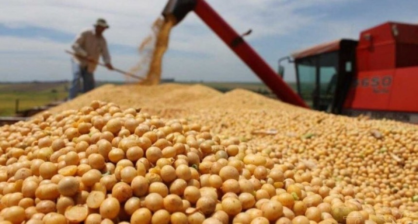 Granos: La comercializaci&oacute;n sigue lenta por precios bajos